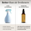 100% Natural Mini Mist Gift Set
