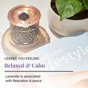 Magic Lavender Incense Bricks