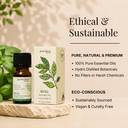 Basil Pure Essential Oil