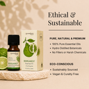 Bergamot Pure Essential Oil