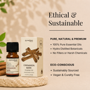 Cinnamon Bark Pure Essential Oil