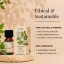 Cinnamon Leaf Pure Essential Oil