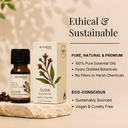 Clove Pure Essential Oil