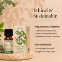 Eucalyptus Pure Essential Oil