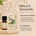 Frankincense Pure Essential Oil