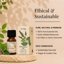 Patchouli Pure Essential Oil