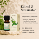 Peppermint Pure Essential Oil