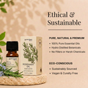Rosemary Pure Essential Oil