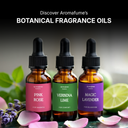 Magic Lavender Fragrance Oil | Botanical Essential Oil | 30ml