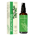 Eucalyptus Room & Linen Spray