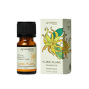 Ylang Ylang Pure Essential Oil