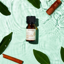 Cinnamon Leaf Pure Essential Oil