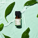Eucalyptus Pure Essential Oil