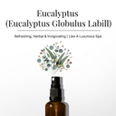 Eucalyptus Room & Linen Spray