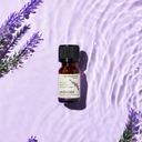 Lavender Pure Essential Oil
