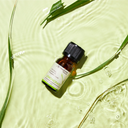 Lemongrass Pure Essential Oil