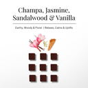 Nag Champa Incense Bricks & Burner Display Set