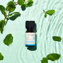 Peppermint Pure Essential Oil