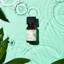 Tea Tree Pure Essential Oil