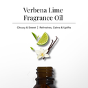 Verbena Lime Fragrance Oil (10ml)