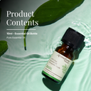 Basil Pure Essential Oil