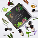 'Live Well' Pure Essential Oil Gift Set