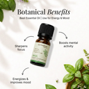 Basil Pure Essential Oil