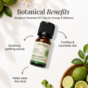 Bergamot Pure Essential Oil