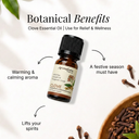 Clove Pure Essential Oil