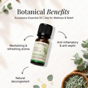 Eucalyptus Pure Essential Oil