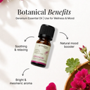 Geranium Pure Essential Oil