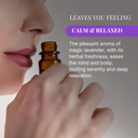 Magic Lavender Fragrance Oil | Botanical Essential Oil | 30ml
