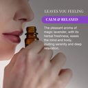 Magic Lavender Fragrance Oil (10ml)