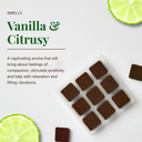 Verbena Lime Incense Bricks