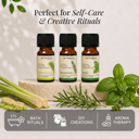 Basil Pure Essential Oil