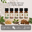 Cinnamon Leaf Pure Essential Oil
