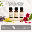 Lavender Pure Essential Oil