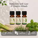 Lemongrass Pure Essential Oil