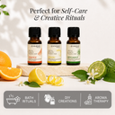 Orange Pure Essential Oil