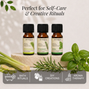 Rosemary Pure Essential Oil