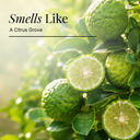 Bergamot Pure Essential Oil