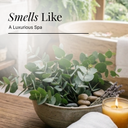 Eucalyptus Pure Essential Oil