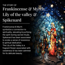 Frankincense & Myrrh, Lily of the Valley, Spikenard Anointing Oils Gift Set