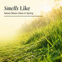 Lemongrass Pure Essential Oil