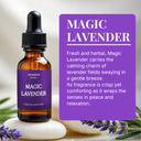 Magic Lavender Fragrance Oil | Botanical Essential Oil | 30ml