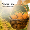 Orange Pure Essential Oil