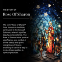 Rose of Sharon Anointing Oil