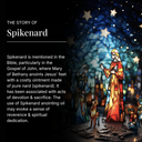 Spikenard Anointing Oil