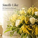 Ylang Ylang Pure Essential Oil